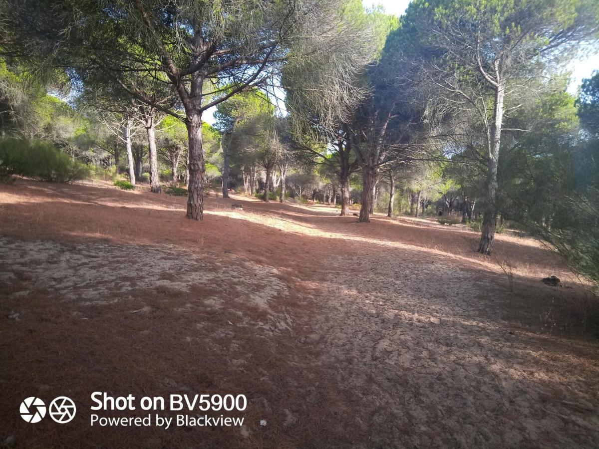 Apartmán Rosa De La Contrera Tarifa Exteriér fotografie