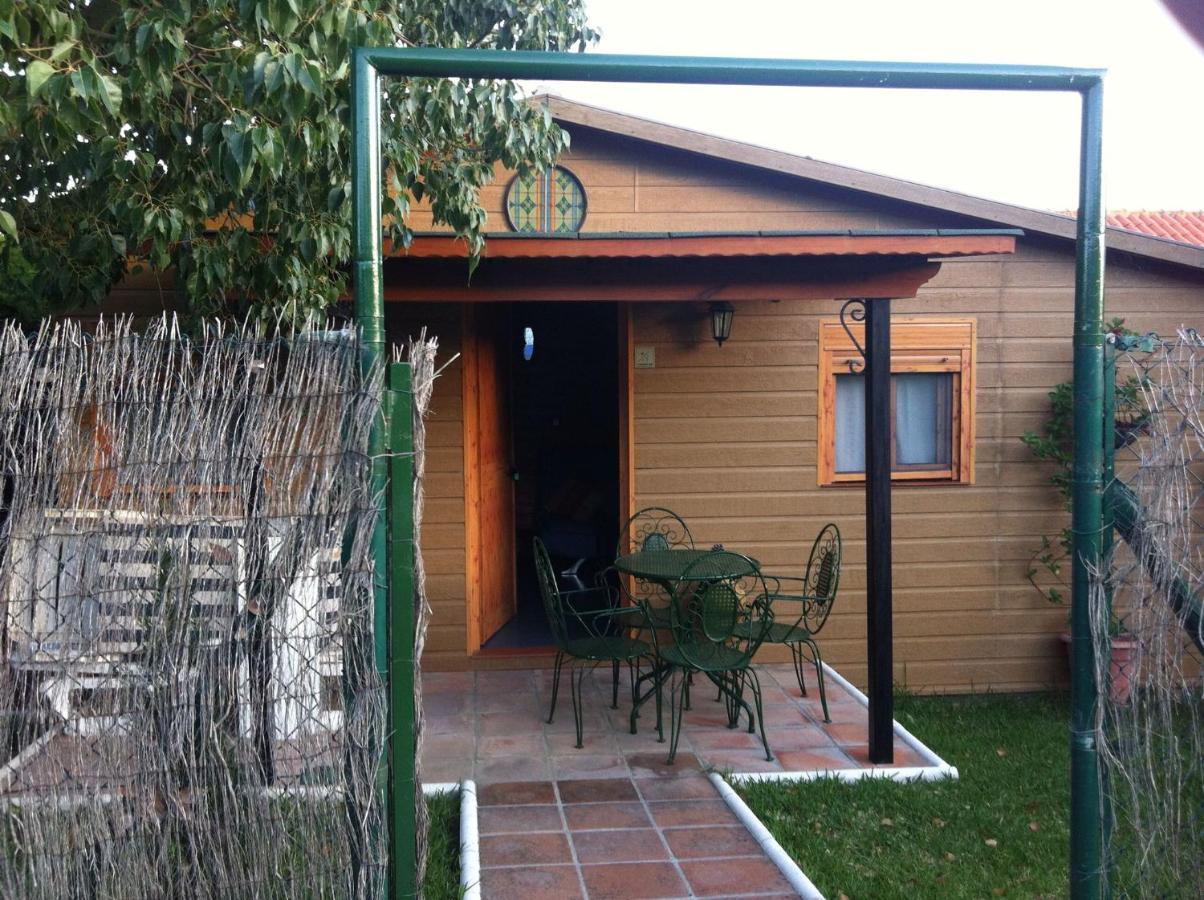 Apartmán Rosa De La Contrera Tarifa Exteriér fotografie